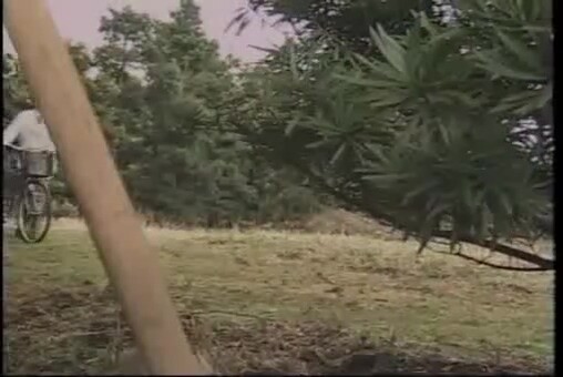 purupuru-fuck-pako-639