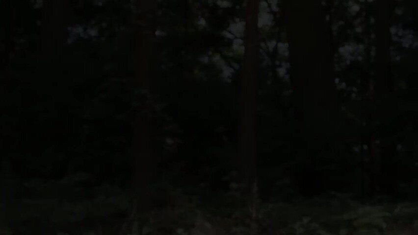 purupuru-fuck-pako-2026