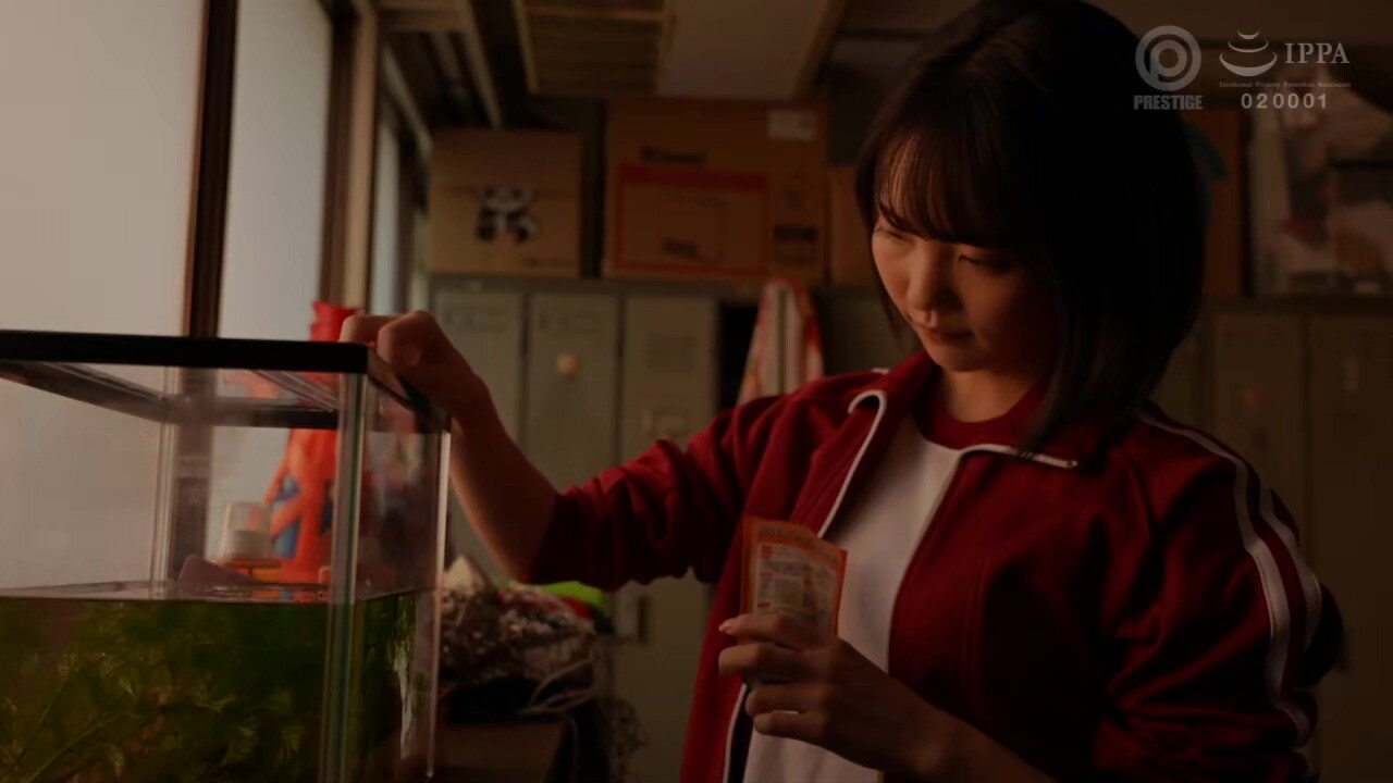 0012096_ノーハンドフェラ フェラチオ ガン突き ほか