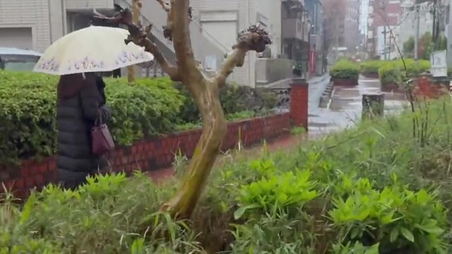 x2xF8BCE146137B755C0B